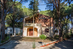 Apartment Maestral